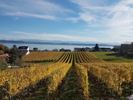 Cave Alain Gerber in Hauterive, Switzerland