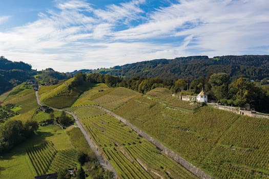 Weingut Tobias Schmid & Sohn AG in Berneck, Switzerland