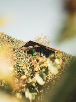 Hamacht Weine in Winterthur, Switzerland