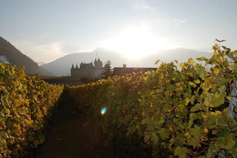 Cave du Clos Aimond Sàrl in Aigle, Switzerland