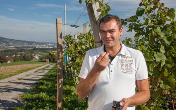 Zahnd erlesene Weine in Amlikon, Switzerland