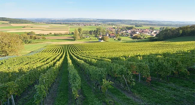 Cotes de l'Orbe in Agiez, Switzerland