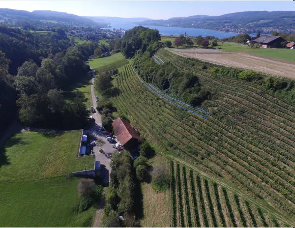 Lampert in Steckborn, Switzerland